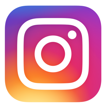Instagram follow button
