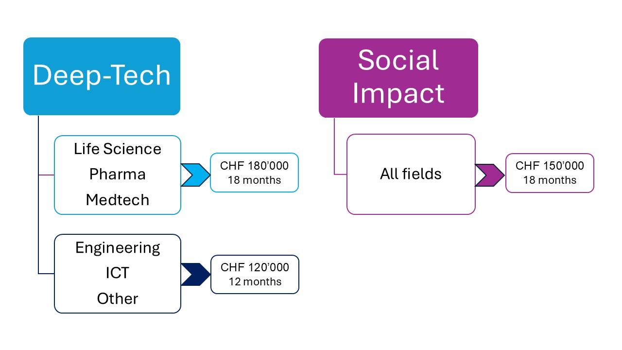 Pioneer Fellowship Tracks and Fields