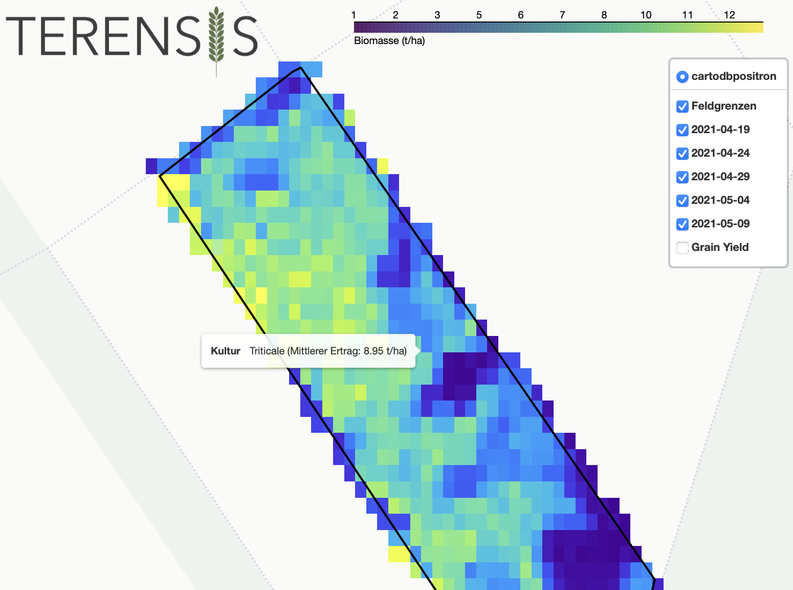 Enlarged view: Terensis