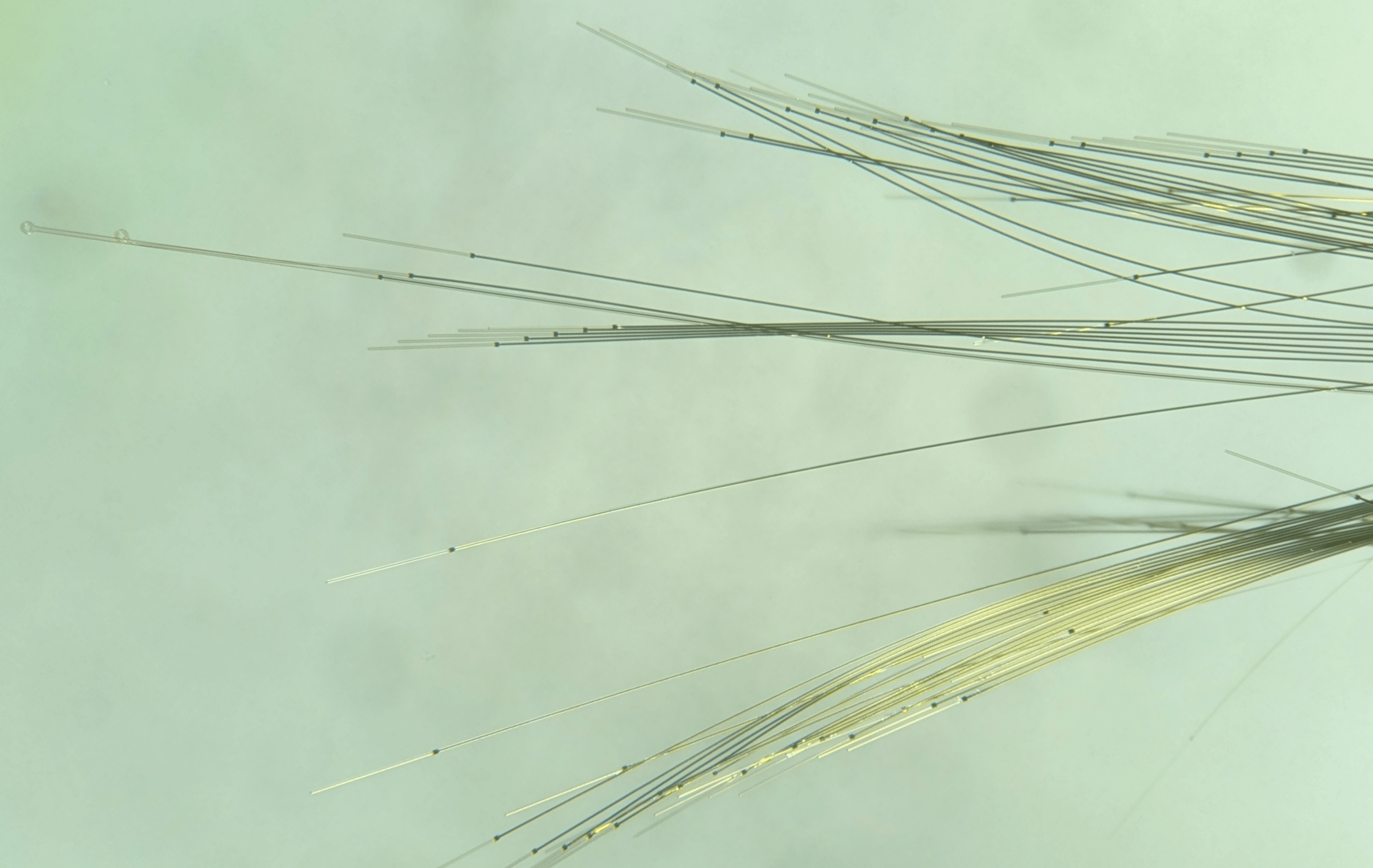 Enlarged view: microscope image of the electrodes