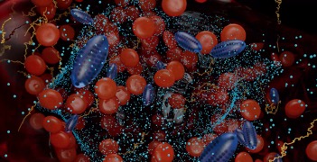 Microrobot-assisted thrombus treatment.