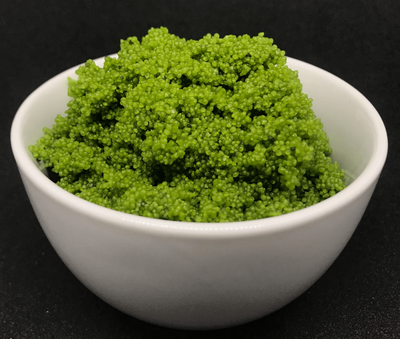 Wolffia: A promising novel protein crop